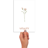 Greeting Card - Flowers